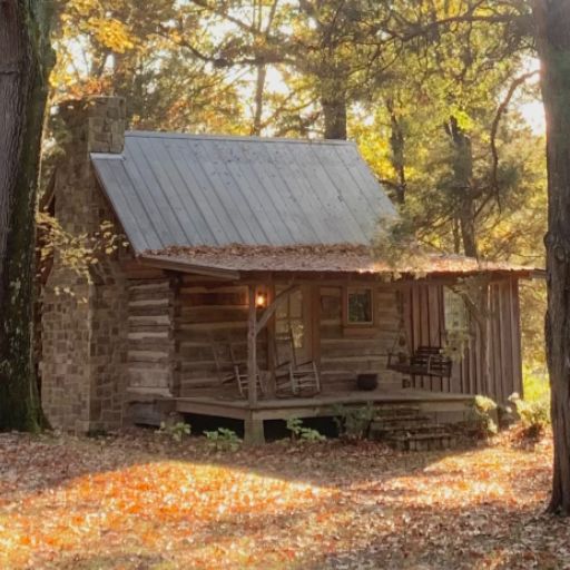 The Moonshine Cabin